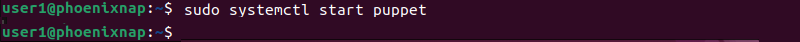 sudo systemctl start puppet terminal output