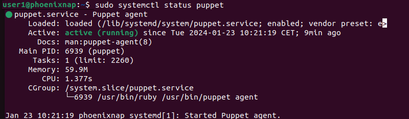 sudo systemctl status puppet terminal output