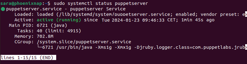 Terminal output for sudo systemctl status puppet for the server node