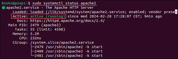 Checking the Apache service status after starting it.