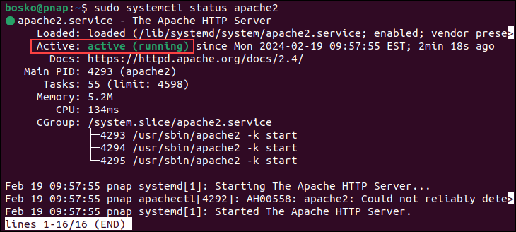 Checking the Apache service status.