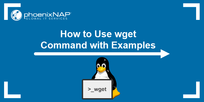 How to Use wget Command with Examples