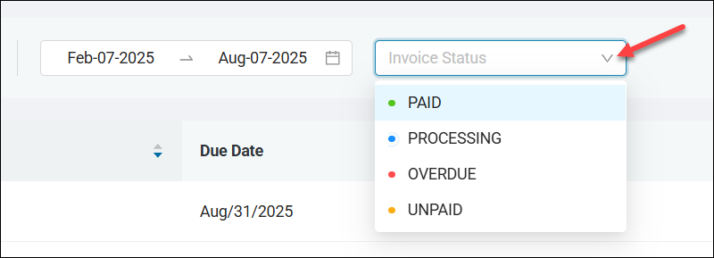 Accessing Invoice type options in the Filter menu.
