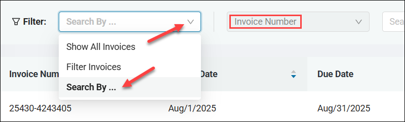 Searching by Invoice Number item in the Filter menu.