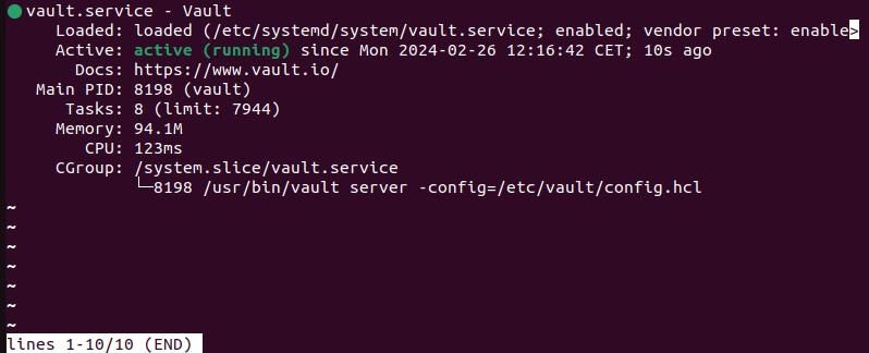 systemctl status vault terminal output