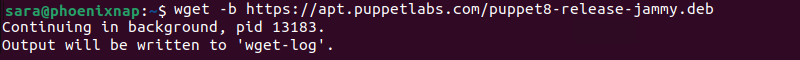 Terminal output for wget-b https://apt.puppetlabs.com/puppet8-release-jammy.deb