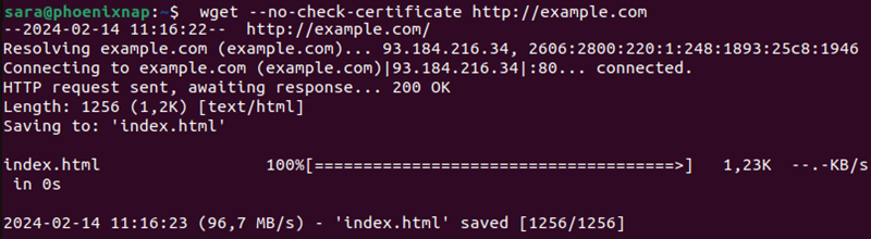 wget --no-check-certificate terminal output