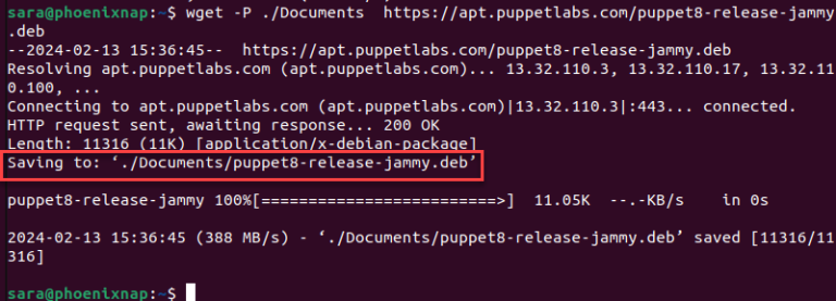 How to Use wget Command With Examples | phoenixNAP KB