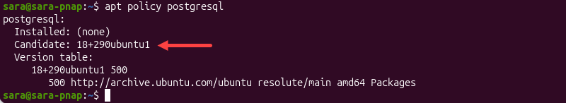 apt policy postgresql terminal output