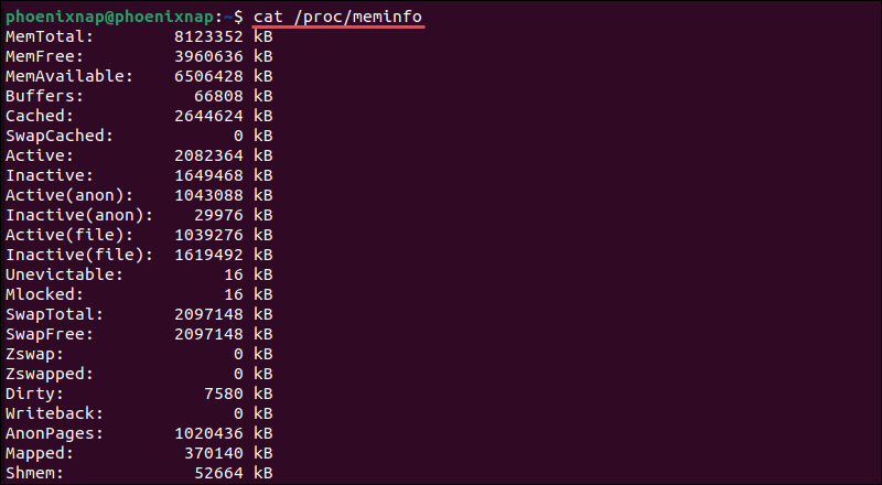 Using the cat command to access the /proc/meminfo file in Linux.