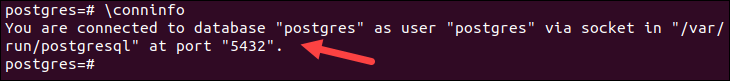 Checking the PostgreSQL connection information in Ubuntu.