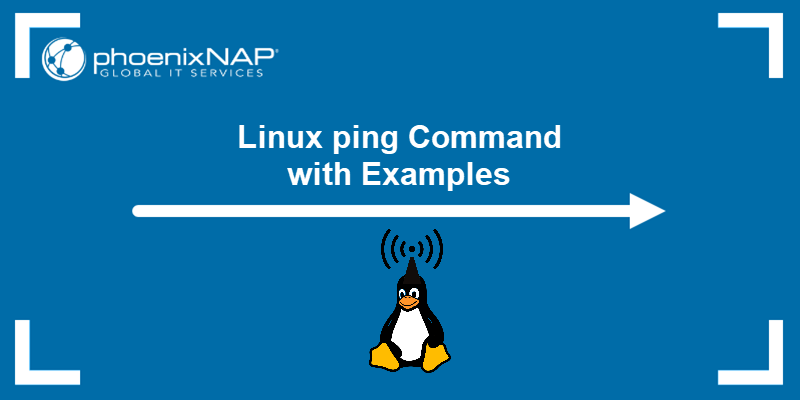 Linux ping command with examples - a tutorial.