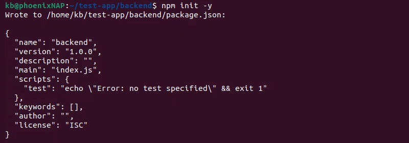 npm init -y terminal output MEAN backend