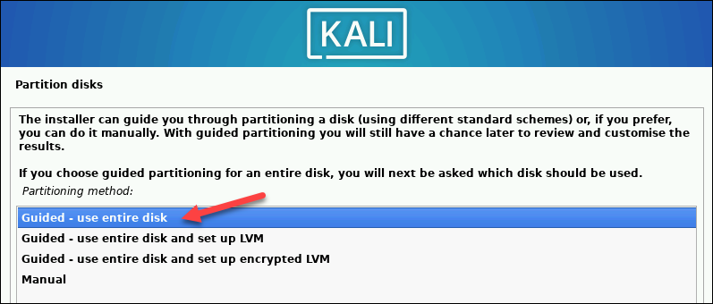 Choosing guided partitioning for the disk.