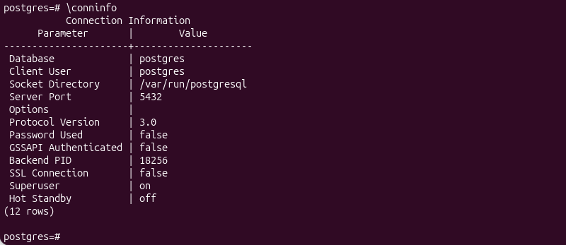 \conninfo postgress terminal output
