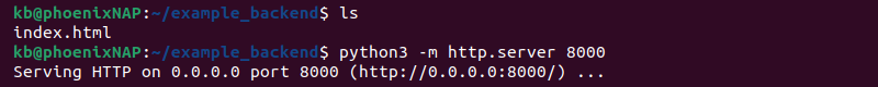 python3 -m http.server 8000 terminal output backend server NGINX