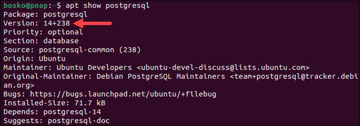 Show PostgreSQL package version information.