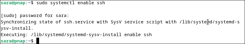 sudo systemctl enable ssh terminal output