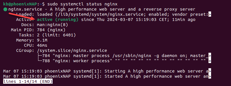 sudo systemctl status nginx terminal output active running