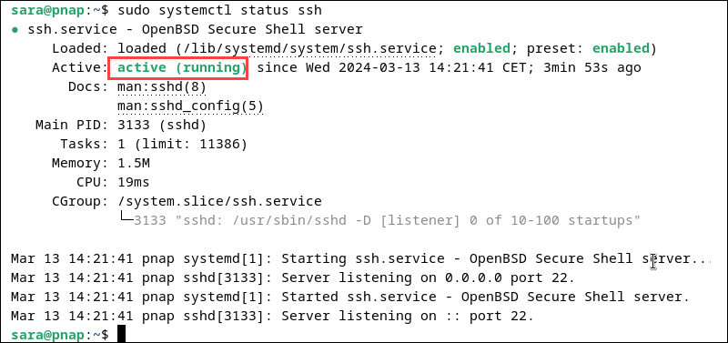 sudo systemctl status ssh terminal output