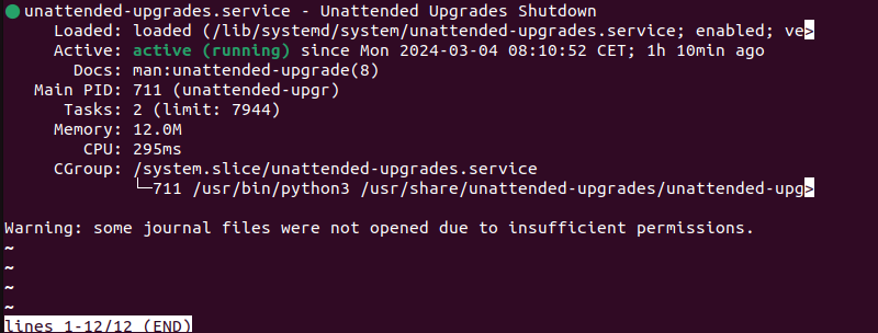 systemctl status unattended-upgrades terminal output