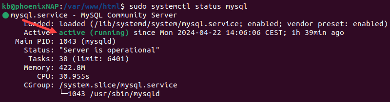 MySQL service active(running) terminal output