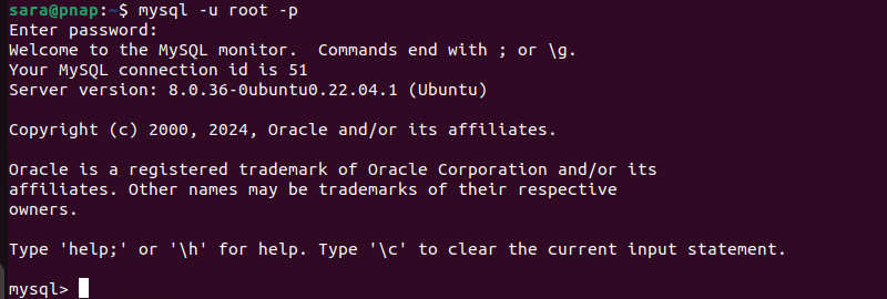 mysql -u root -p terminal output Linux