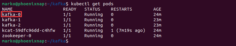A Kafka pod in the output of the kubectl get pods command.