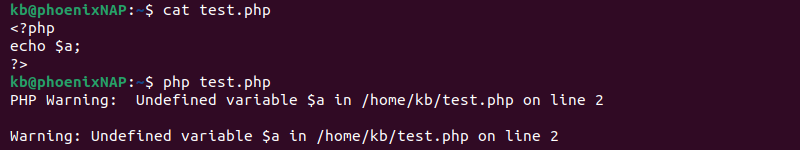 PHP notice error terminal output