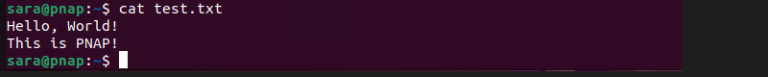 echo Command in Linux with Examples