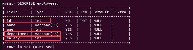 DESCRIBE command terminal output