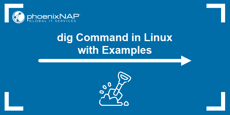 dig Command in Linux with Examples