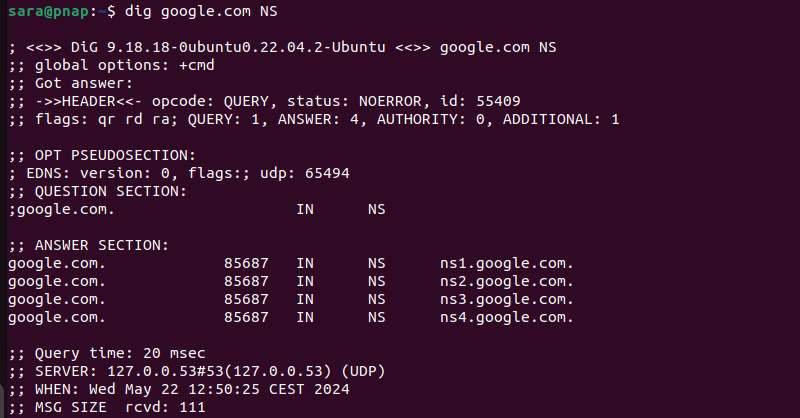 dig google.com NS terminal output
