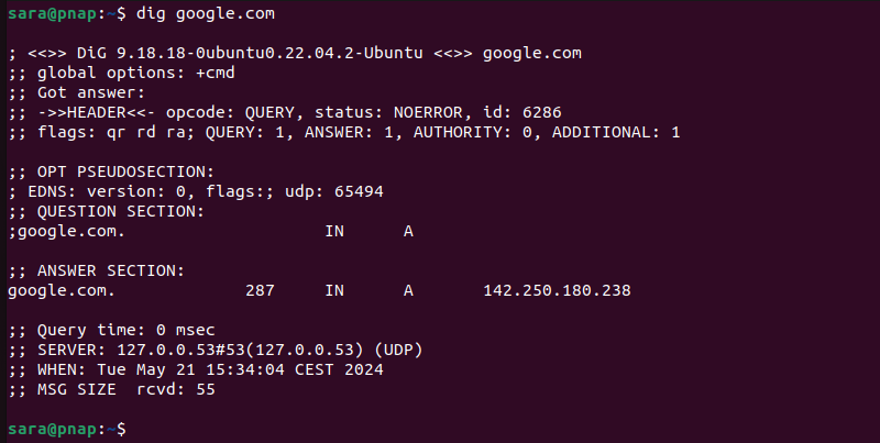 dig google.com terminal output