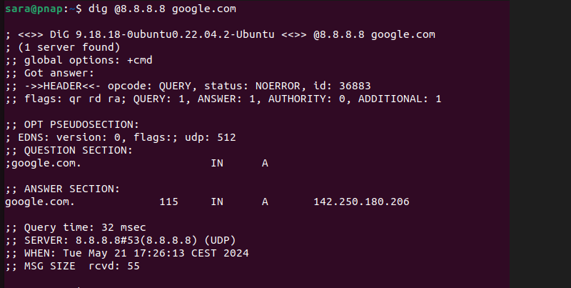 dig @8.8.8.8 google.com terminal output