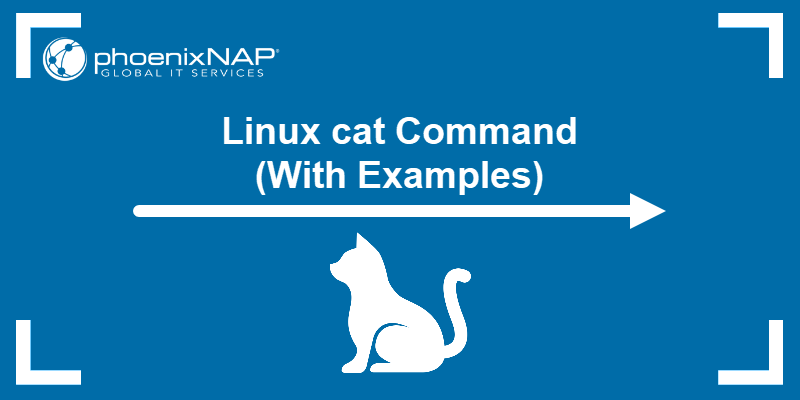 Linux cat Command (With Examples)