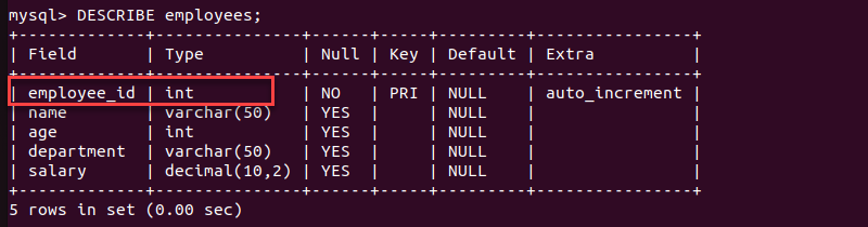 mysql DESCRIBE terminal output