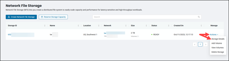Network File Storage actions storage details