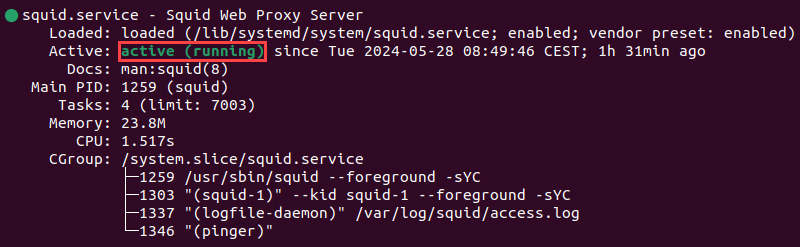 Systemctl showing a running Squid instance on Ubuntu.