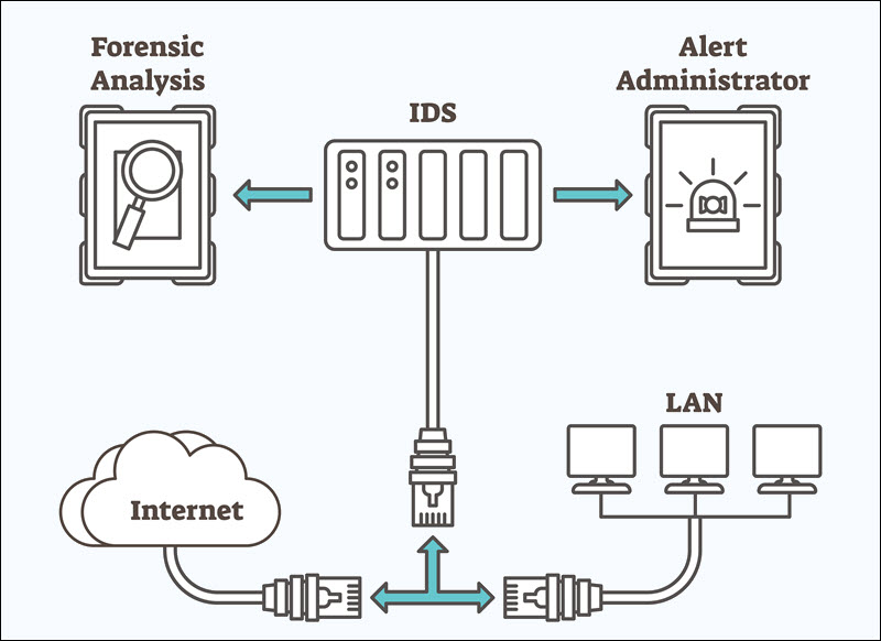 Using IDS software to enhance server security.