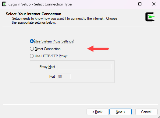 Select internet connection type for Cygwin.