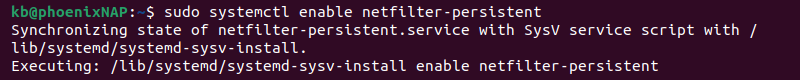 sudo systemctl enable netflilter-persistent terminal output