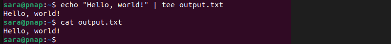 terminal output for cat