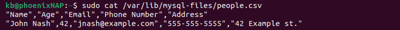 CSV file contents terminal output