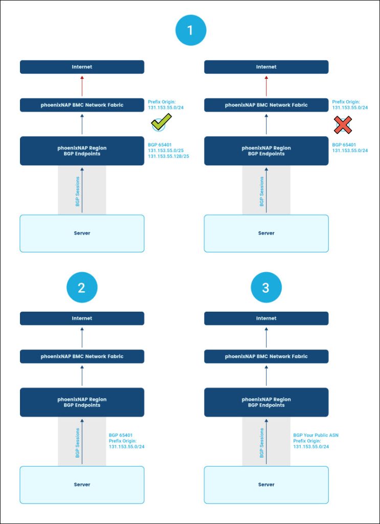 A diagram illustrating ways to utilize BYO IPs.