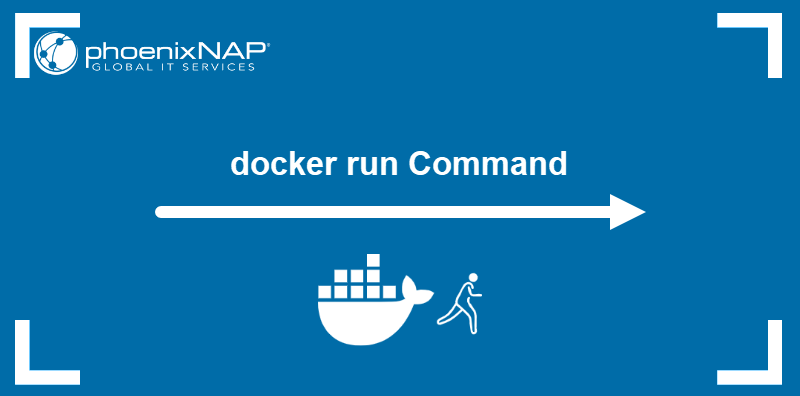 How to use the docker run command with examples.