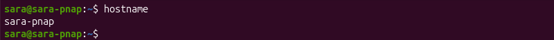 hostname command terminal output