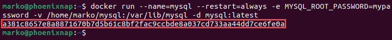 Running a new MySQL container with the newest image version.