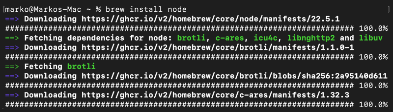 Installing Node.js and NPM on macOS using Homebrew.