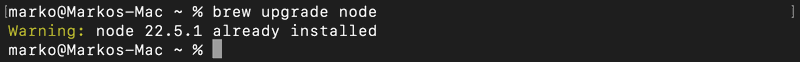 Upgrading the Node.js and NPM installation with Homebrew on macOS.